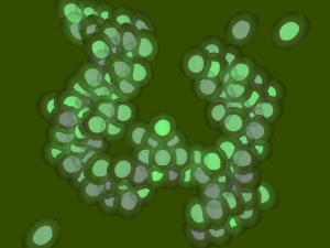 chlorophyll2