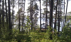 IMAG0066