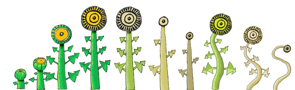 dandelion-all